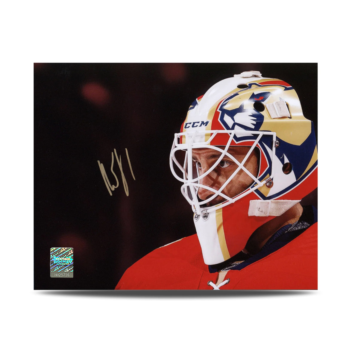 Roberto Luongo Signed Florida Panthers Goalie Mask Profile 8X10 Photo