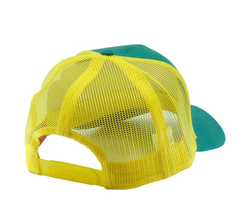 Minnesota North Stars NHL Valin Snapback Cap