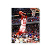 Michael Jordan Chicago Bulls Engraved Framed Photo - Action Dunk